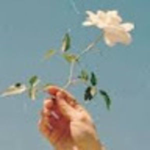 Meet your Posher, Nina